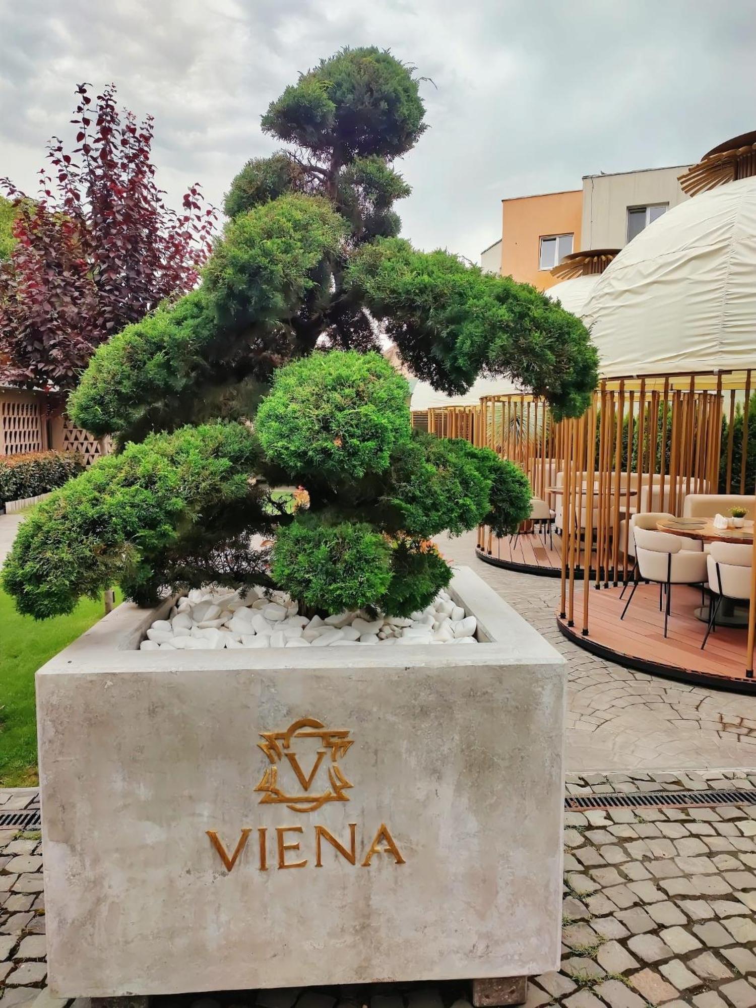 Hotel Viena Satu Mare Exterior foto